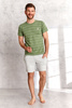 TARO PIŻAMA MĘSKA KRÓTKA BRUNO 2513 M-2XL