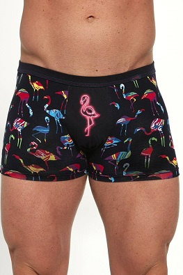 CORNETTE BOKSERKI TATTOO 280/205 FLAMINGO