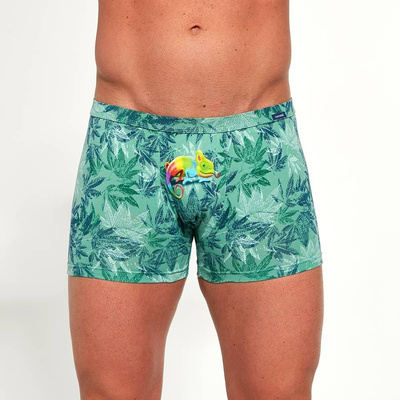 CORNETTE BOKSERKI TATTOO 280/206 CHAMELEON