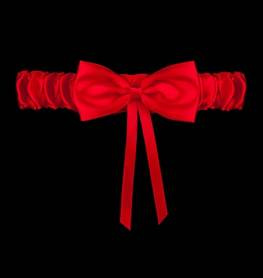 JULIMEX PODWIĄZKA PW-48 ANDORA